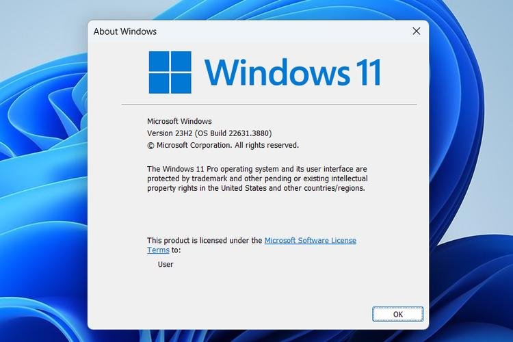 Complete Support for All Windows Client OS: Compatibility Guide enter winver